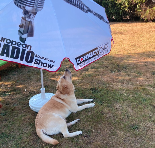 Décidément, cette saison, nos parasols auront connu un vrai succès... Décidément, cette saison, nos parasols auront connu un vrai succès...