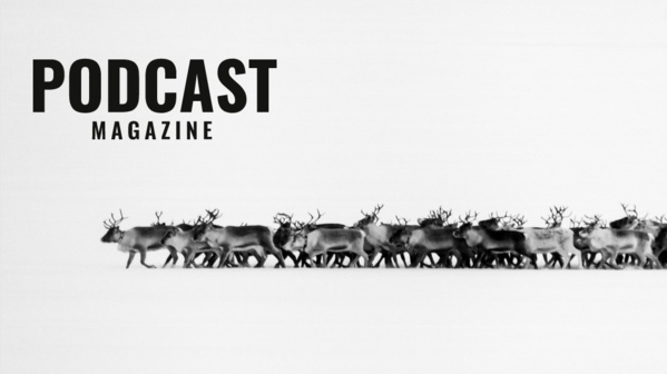 Ça migre un podcast ? Ça migre un podcast ?