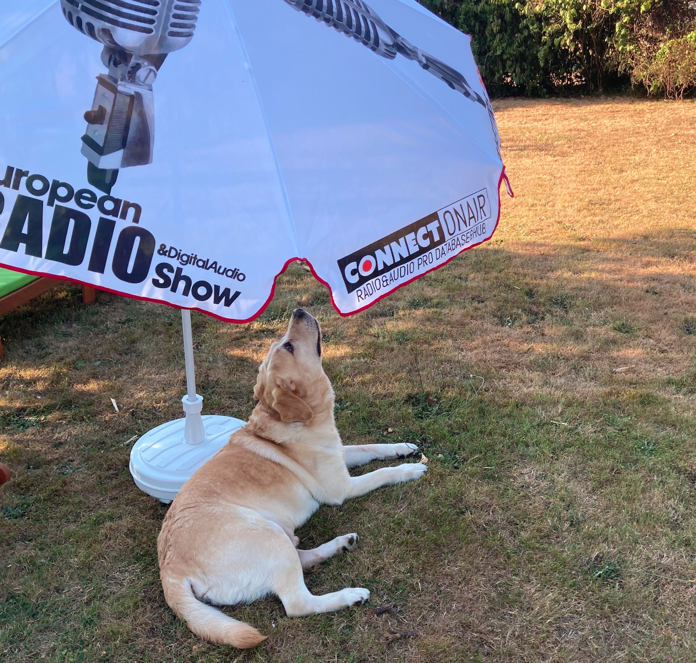 Décidément, cette saison, nos parasols auront connu un vrai succès... Décidément, cette saison, nos parasols auront connu un vrai succès...