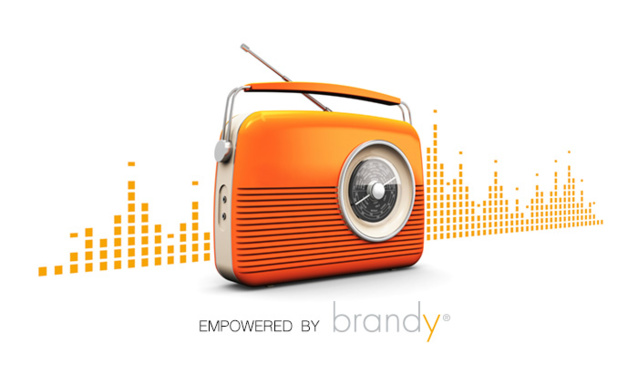 Trois habillages produits par Brandy Jingles Trois habillages produits par Brandy Jingles