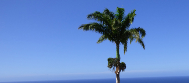 Radio FG : 5 nouvelles fréquences à La Réunion Radio FG : 5 nouvelles fréquences à La Réunion