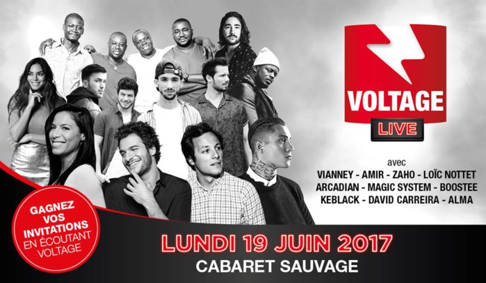 Voltage promet un "Voltage Live" le 19 juin