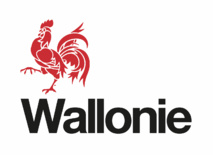 Belgique : nouvelle étape vers la diffusion numérique des radios Belgique : nouvelle étape vers la diffusion numérique des radios