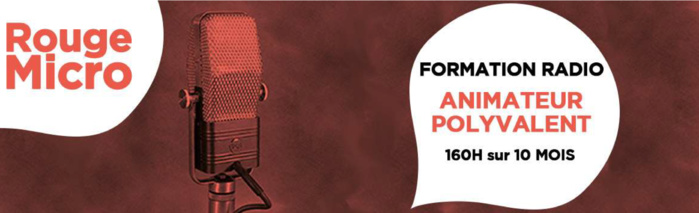 L'Onde Porteuse lance la formation "RougeMicro" L'Onde Porteuse lance la formation "RougeMicro"