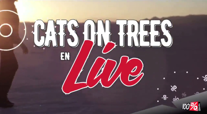 Cats on Trees en direct sur 100% Cats on Trees en direct sur 100%