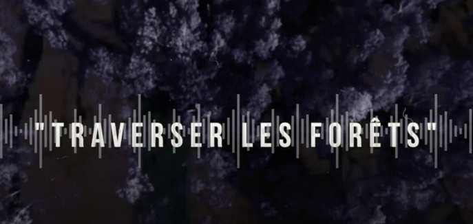 "Traverser les forêts" : un documentaire radio remporte le Prix Grandes Ondes "Traverser les forêts" : un documentaire radio remporte le Prix Grandes Ondes