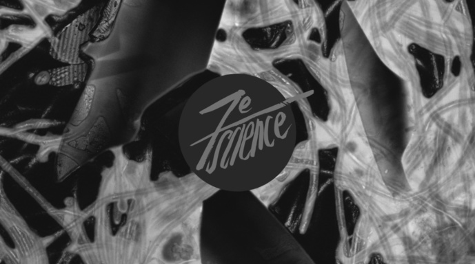 Binge Audio et Sorbonne Université lancent une série de podcasts Binge Audio et Sorbonne Université lancent une série de podcasts