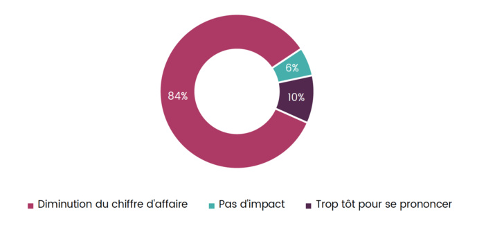 L'mpact de la crise sur le chiffre d'affaires mensuel L'mpact de la crise sur le chiffre d'affaires mensuel