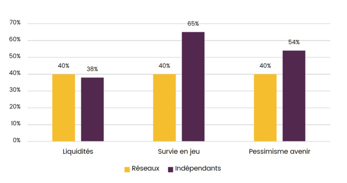 Parmi les radios en réseau, ce sont les réseaux provinciaux et un réseau en pur DAB+ qui ont exprimé rencontrer des problèmes de liquidité, ce qui confirme encore que les acteurs nationaux d’une certaine taille sont "tirés d’affaire", au contraire des acteurs locaux © CSA Parmi les radios en réseau, ce sont les réseaux provinciaux et un réseau en pur DAB+ qui ont exprimé rencontrer des problèmes de liquidité, ce qui confirme encore que les acteurs nationaux d’une certaine taille sont "tirés d’affaire", au contraire des acteurs locaux © CSA