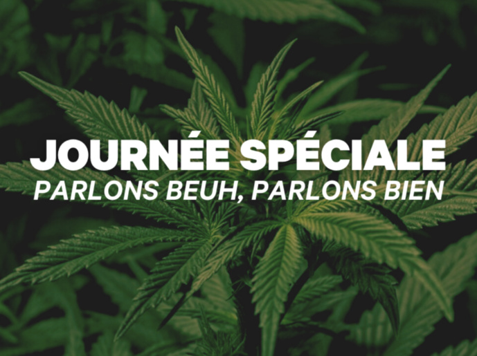 Radio Nova en journée spéciale pour le "Cannabis Day" Radio Nova en journée spéciale pour le "Cannabis Day"