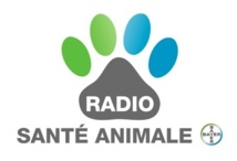 Une webradio sur... les animaux