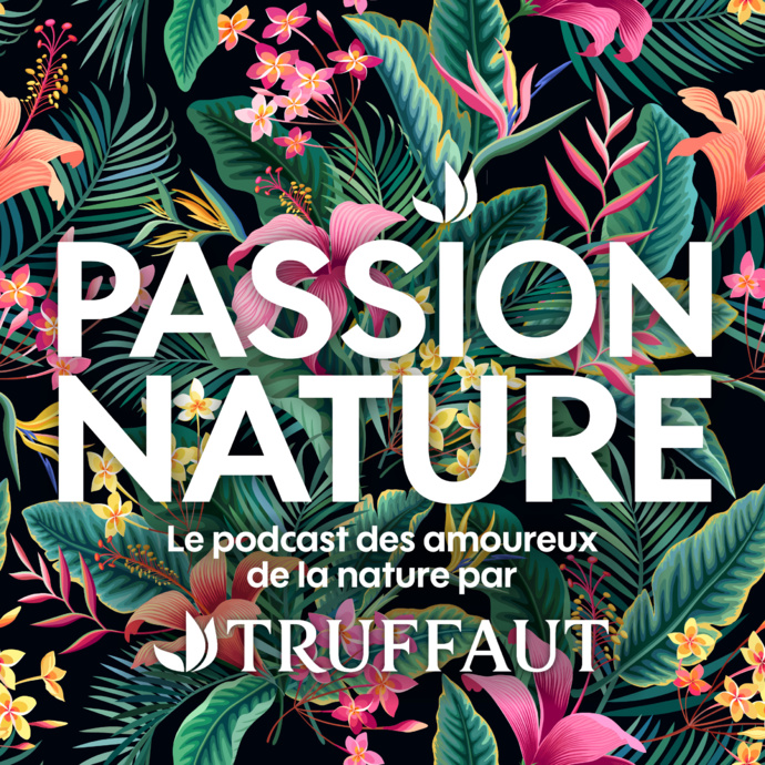 Truffaut : un podcast pour les amoureux de la nature Truffaut : un podcast pour les amoureux de la nature