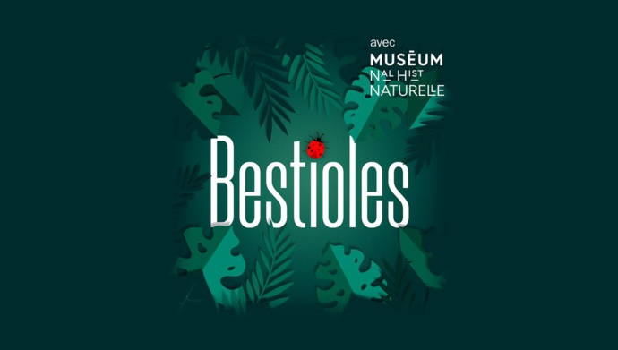 France Inter : 10 nouveaux épisodes de "Bestioles"