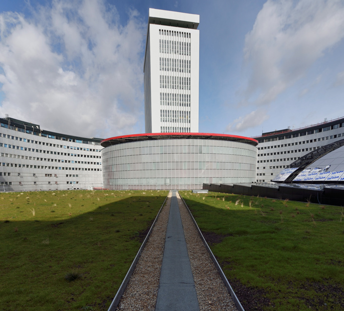 Les toits végétalisés de Radio France © Christophe Abramowitz - RF Les toits végétalisés de Radio France © Christophe Abramowitz - RF