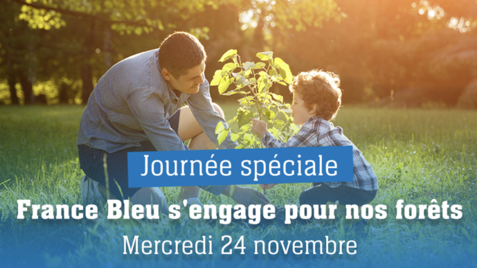 France Bleu s'engage pour les forêts France Bleu s'engage pour les forêts