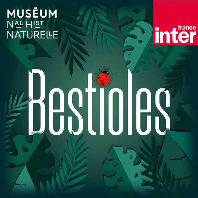 La série "Bestioles" s'enrichit de 10 épisodes La série "Bestioles" s'enrichit de 10 épisodes