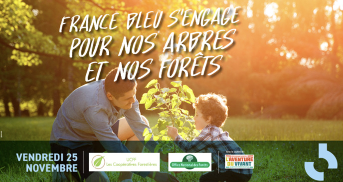 France Bleu s'engage pour nos arbres et nos forêts France Bleu s'engage pour nos arbres et nos forêts