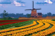 Image D.R. Image D.R.