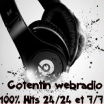 Cotentin webradio veut dynamiser la Normandie Cotentin webradio veut dynamiser la Normandie