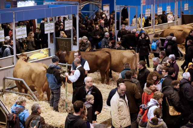 Fréquence Plus prend le taureau par les cornes Fréquence Plus prend le taureau par les cornes