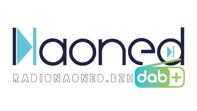 Les nouvelles radios nées du DAB+ (8/12)