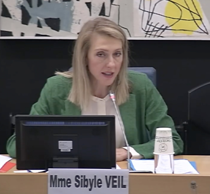 Sibyle Veil veut "créer le média de service public de la vie locale"