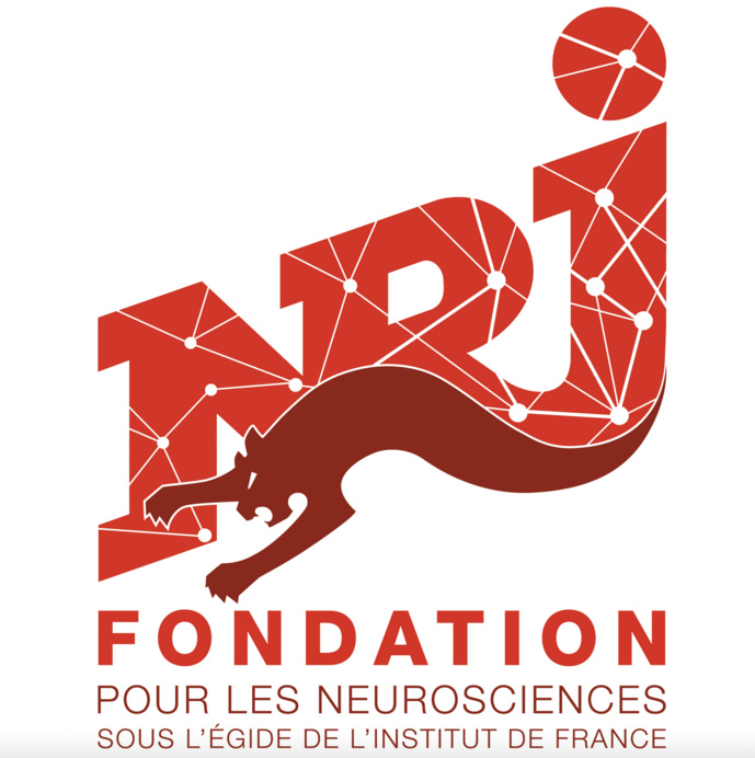 La Fondation NRJ – Institut de France s’engage pour l’Institut du Cerveau