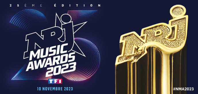 Les NRJ Music Awards récompensent la "Chanson francophone de l'année"