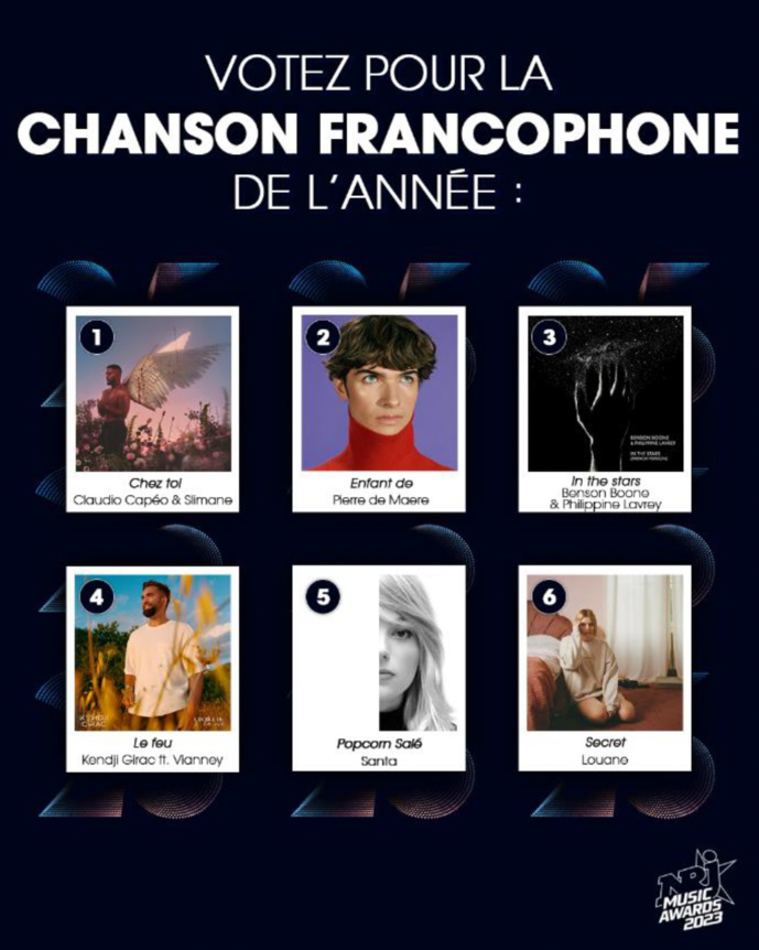 Les NRJ Music Awards récompensent la "Chanson francophone de l'année" Les NRJ Music Awards récompensent la "Chanson francophone de l'année"