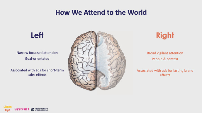 L'étude System1 et Radiocentre UK met en évidence les deux hémisphères du cerveau sollicités par la publicité audio. Le gauche est lié à une attention focalisée et à des effets à court terme. Le droit, en revanche, mobilise les émotions et favorise un impact de marque durable.