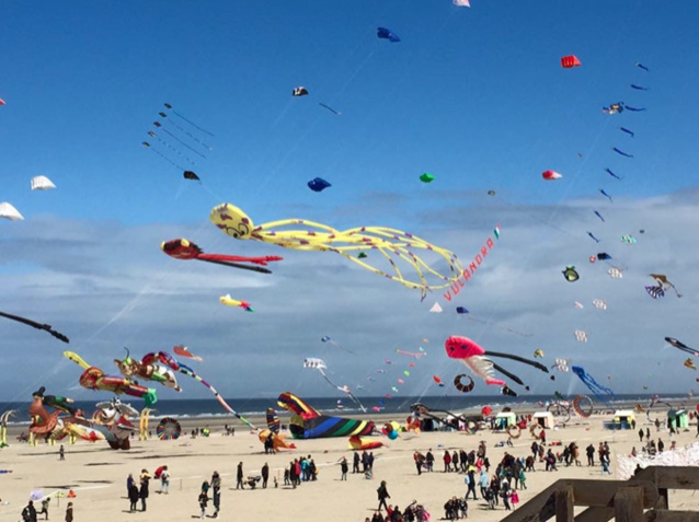 Radio 6 a ouvert le printemps en musique Radio 6 a ouvert le printemps en musique