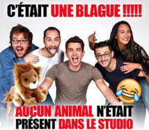 À défaut d'un lion, NRJ préfère garder sa panthère... À défaut d'un lion, NRJ préfère garder sa panthère...