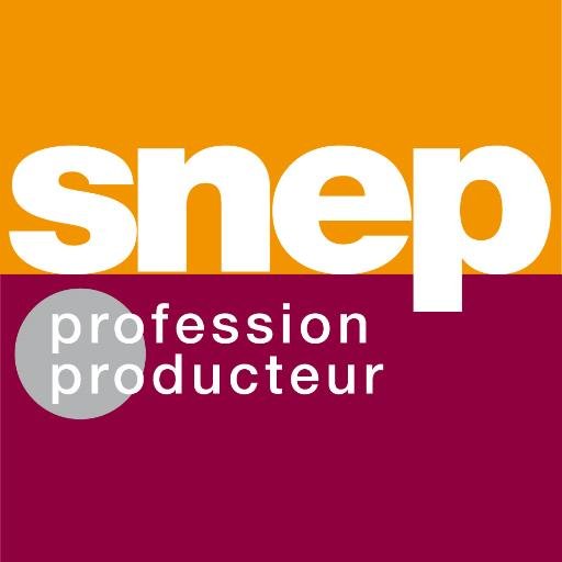 Signel Snep Le streaming poursuit sa spectaculaire ascension