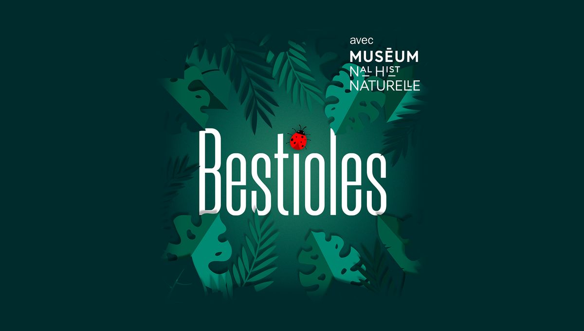 France Inter : 10 nouveaux épisodes de "Bestioles"