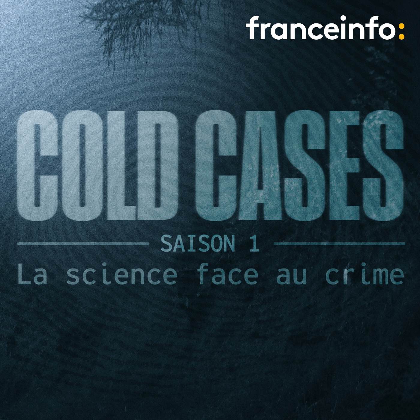 "Cold Case" : un nouveau podcast de franceinfo