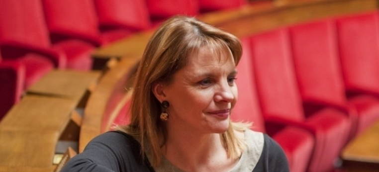RNT : la députée Tolmont interroge Fleur pellerin