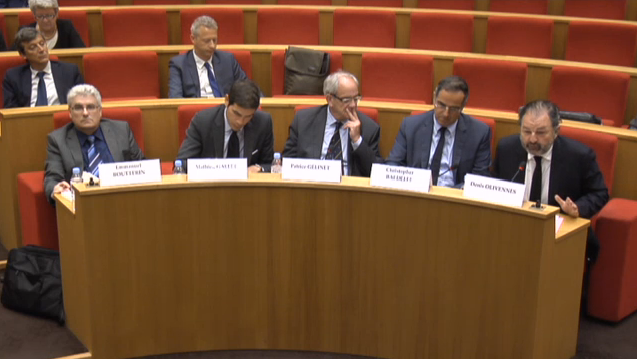 Emmanuel Boutterin (SNRL), Mathieu Gallet (Radio France), Patrice Gélinet (CSA), Christopher Baldelli (RTL Group) et Denis Olivennes (Lagardère Active) © Sénat