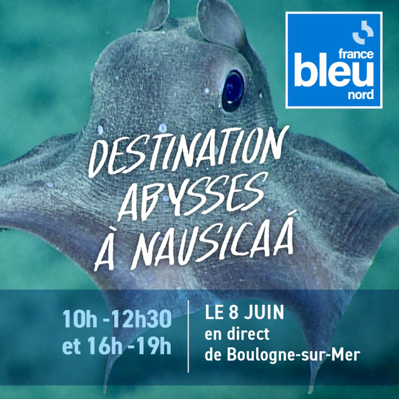 France Bleu Nord plonge dans les abysses à Nausicaa
