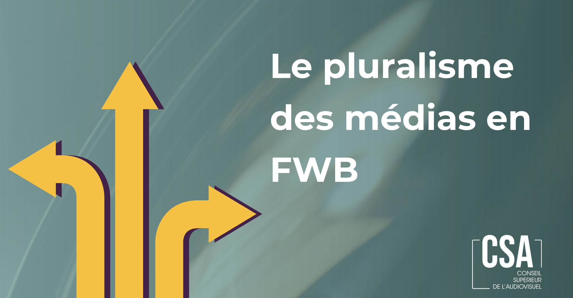 Belgique : : le CSA publie son évaluation du pluralisme des médias 