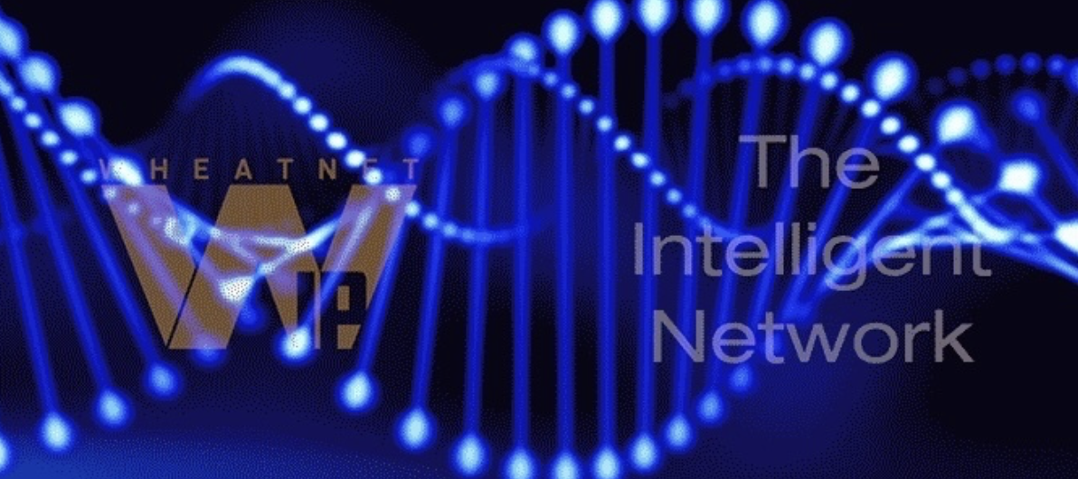 Jusqu’à 24 flux simultanés : le nouveau driver Linux de Wheatstone