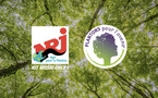 Sur NRJ, chaque passage d’un auditeur à l’antenne contribue à planter un arbre