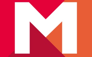 L’Audience Vidéo Ordinateur en France