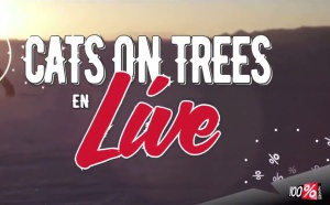 Cats on Trees en direct sur 100%