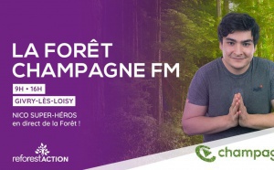 La forêt Champagne FM s'enracine dans la Marne