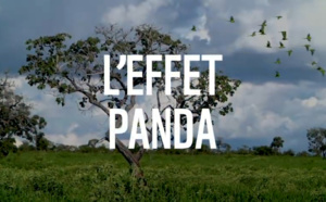 Le WWF France lance sa série de podcasts : "L’Effet Panda"
