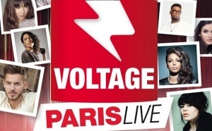 Voltage Paris Live 2013