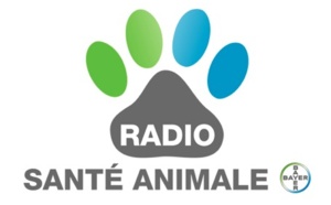 Une webradio sur... les animaux