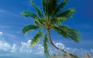 Les auditeurs en vacances