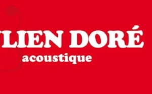 Julien Doré en "Concert Très Très Privé"