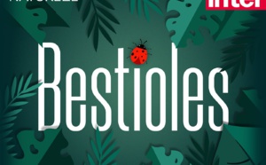 La série "Bestioles" s'enrichit de 10 épisodes